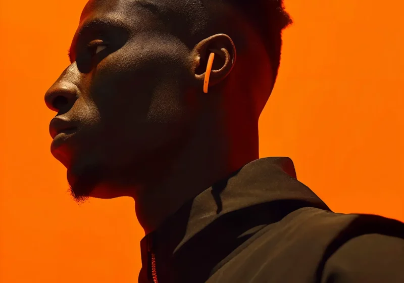 portfolio-Black-Bird